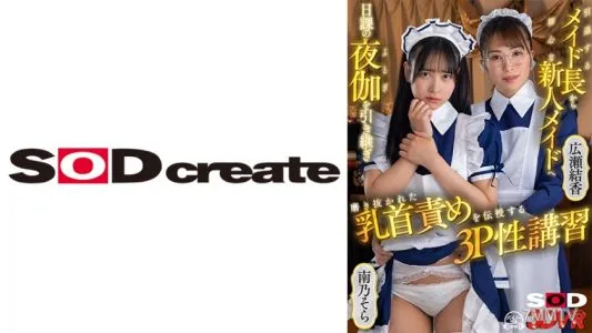 1073DSVR-1159 【VR】引退するメイド長から初心な新人メイドへ 日課の夜伽を引き継ぎ 磨き抜かれた乳首責めを伝授する3P性講習 広瀬結香 南乃そら