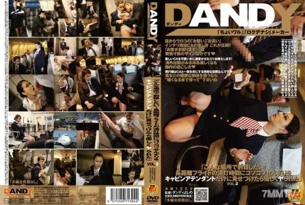 DANDY-202 「こんな場所で射精したい!長距離フライトの消灯時間にコソコソせんずりをキャビンアテンダントだけに見せつけたら優しくヤられた」 VOL.2