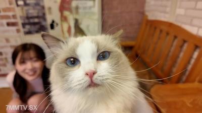 FC2-PPV 4511406 9日まで1490pt!!! ※可愛すぎ超レア 猫カフェデートで猫にメロメロ「可愛い..」、デート後俺のムスコにも夢中だったのは二人だけの内緒 {